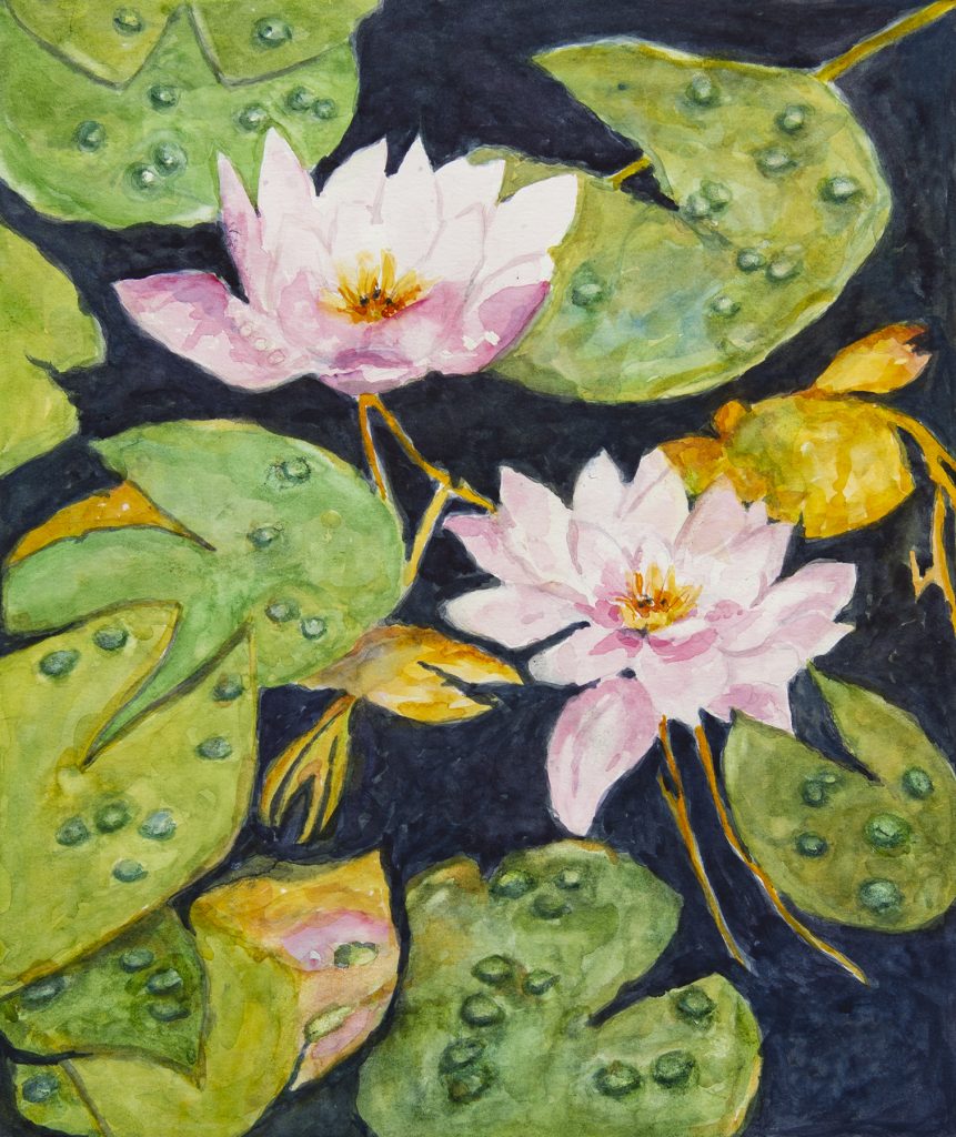 Pam Root - Water Drops on Lilly Pads
