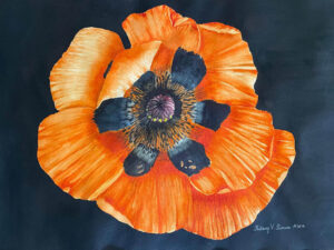 Hilary Fiscus - Vibrant Poppy