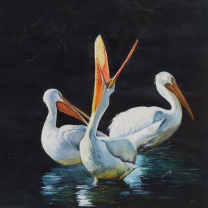 Joan Foltz - Pelican Brief