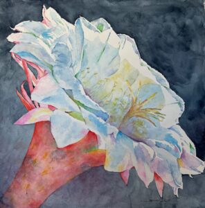 Jordan Kirk - Bloom Where You Are Planted