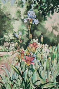 Yolande McAlevey - Irises at Descanso