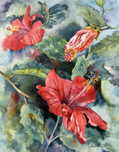 Janice Wittwer - John’s Garden Hibiscus