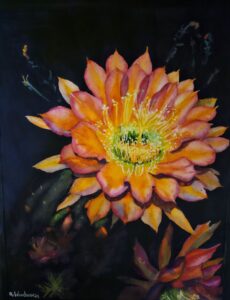 Robin Woodworth - Desert Nights