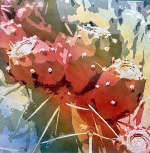 Marion Droge | Desert Thorns