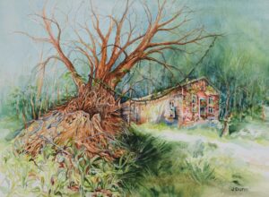 Janet Dunn | Coosawhatchie