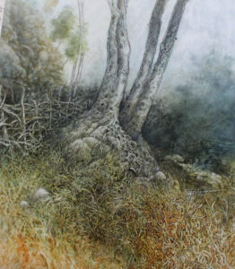 Tom Herbert | The Deer Fence
