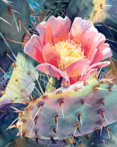 Cindy Welch | Pink Splendor