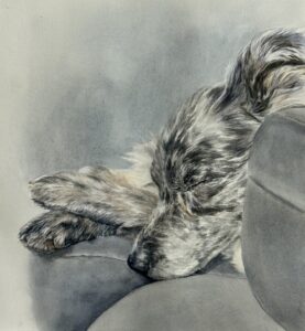 Teri Wilson-Williams | A Study in Grey