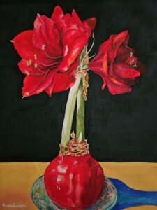 Robin Woodworth | Amaryllis with Red Wax Bulb